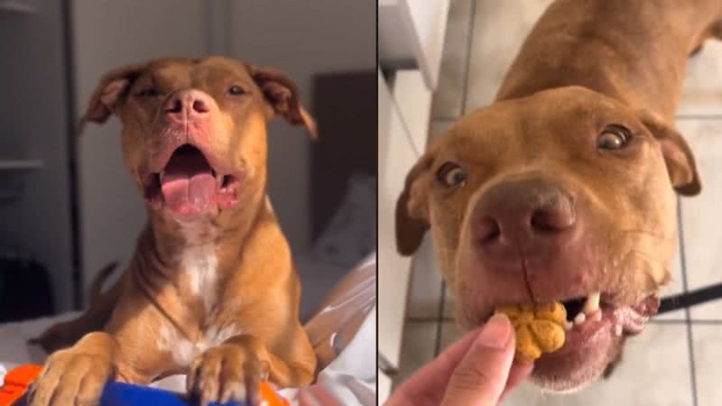 Reprodução/ Tik Tok