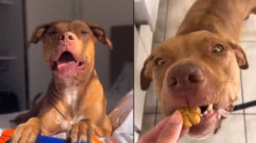 Reprodução/ Tik Tok