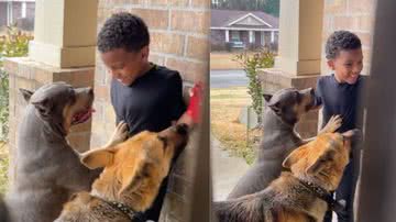 Reprodução/ Tik Tok