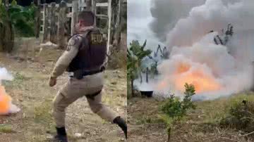 Divulgação/Polícia Militar