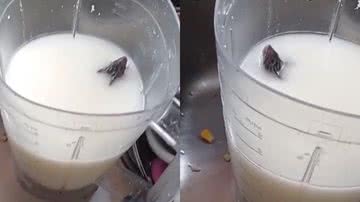 Reprodução/TikTok @gabrielamendest