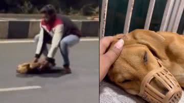 Reprodução/ Tik Tok