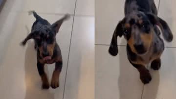 Reprodução / Tik Tok