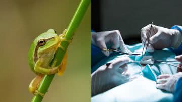 Imagem: Ilustrativa/ Freepik