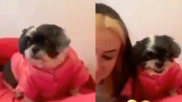 Reprodução/ Tik Tok