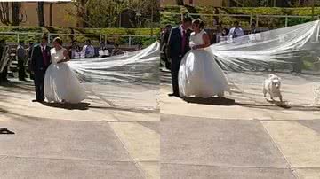 Reprodução/TikTok @fannyproduccionesoficial