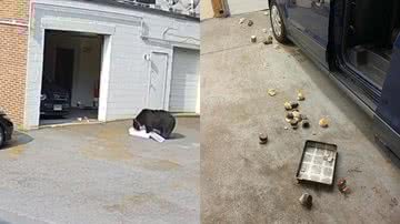 Reprodução/Redes Sociais