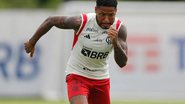 Foto: Gilvan de Souza/Flamengo
