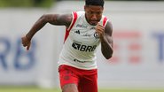 Foto: Gilvan de Souza/Flamengo