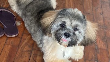 Reprodução / Acervo Pessoal