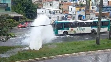 Leitor BNews