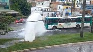 Leitor BNews