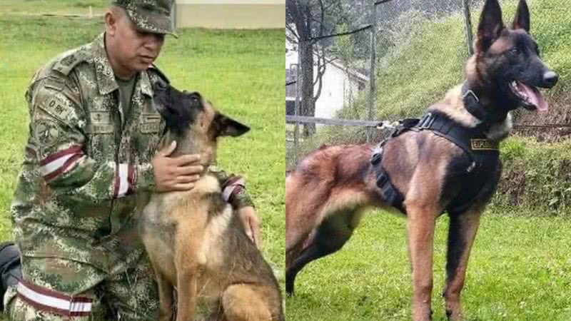 Divulgação/Forças Militares da Colômbia
