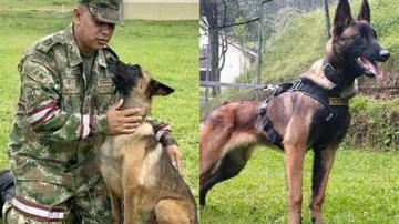 Divulgação/Forças Militares da Colômbia