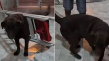 Reprodução / Redes Sociais