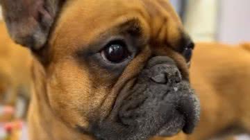 Reprodução// Instagram