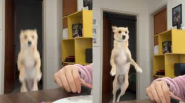 Reprodução// TikTok @kaianab