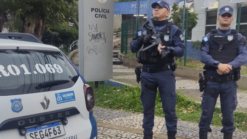 Divulgação