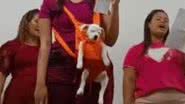 Reprodução TikTok/@foconarapunzelmorena