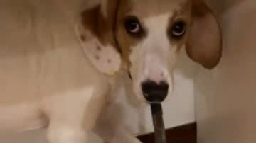 Reprodução// TikTok @fabiolaferrariii