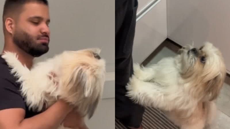 Reprodução// TikTok @gabrielakindlein_