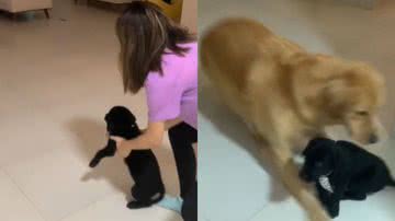 Reprodução// TikTok @carolmotaxz