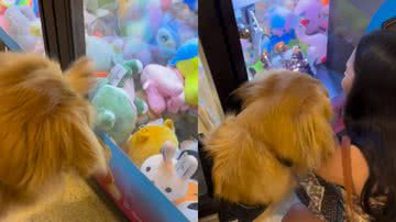 Reprodução// Instagram