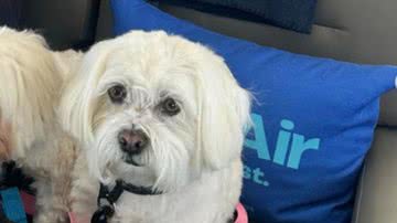 Reprodução// Instagram