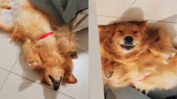 Reprodução// TikTok @@renato.lobo.01