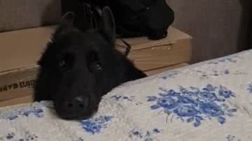 Reprodução// TikTok @_naqda