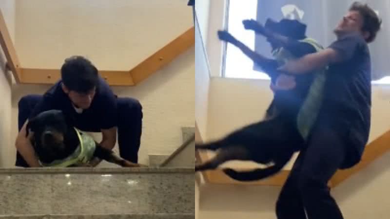 Reprodução// TikTok @euudalton