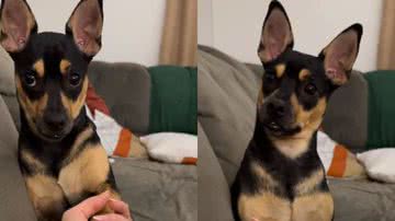 Reprodução// Instagram