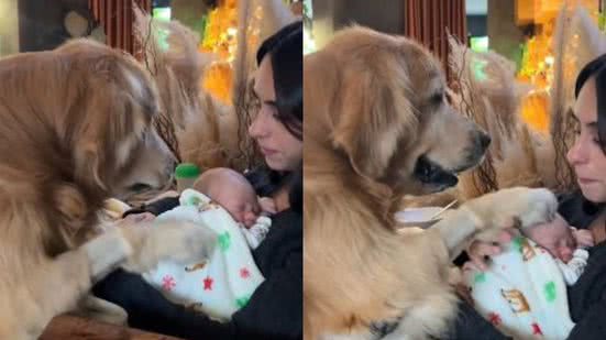 Reprodução// TikTok @lucasestevansoares