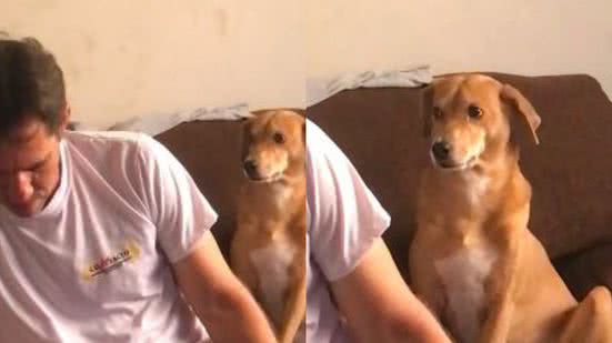 Reprodução// TikTok @elietesousa_13