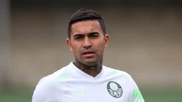 Cesar Greco/Palmeiras