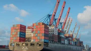 Divulgação / Pixabay