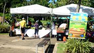 Feira Agroecológica no Parque da Cidade