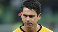 Cesar Greco/Palmeiras