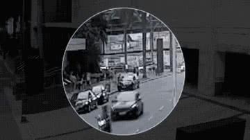 Reprodução