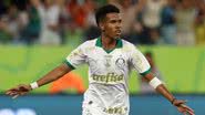 Cesar Greco / Palmeiras