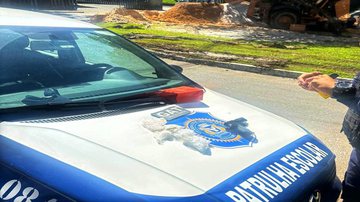 Divulgação/Guarda Civil Municipal