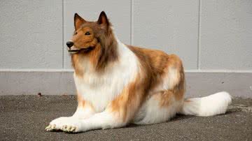 Reprodução / Redes Sociais