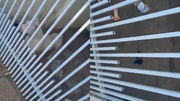 Reprodução/Redes Sociais