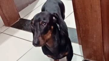 Reprodução / Redes sociais