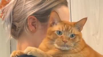 Reprodução / Redes sociais