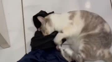 Reprodução / Redes sociais