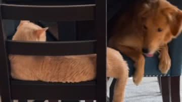 Reprodução / Redes sociais