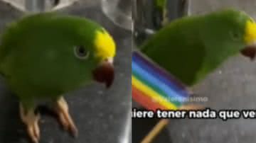 Reprodução / Redes sociais