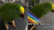 Reprodução / Redes sociais