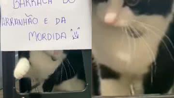 Reprodução / Redes sociais